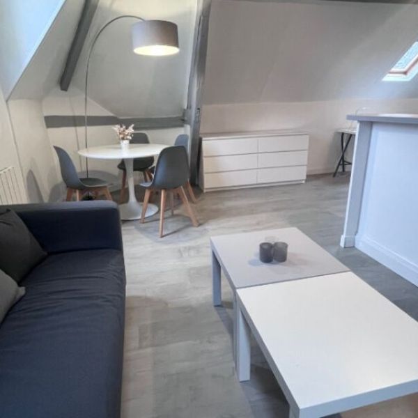 
APPARTEMENT DE TYPE 1 BIS MUSEE DES BEAUX ARTS
