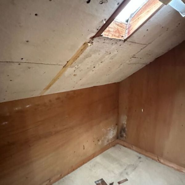 
Maison Mont Saint Aignan 4 pièce(s) 100 m2
