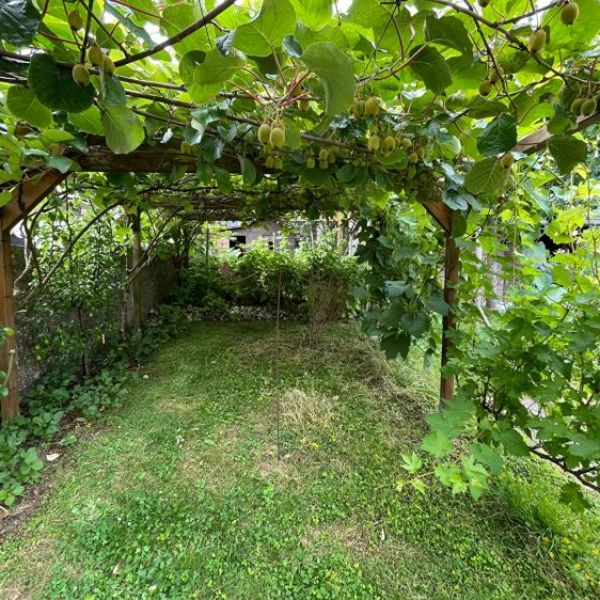 
MAISON DE VILLE AVEC JARDIN
