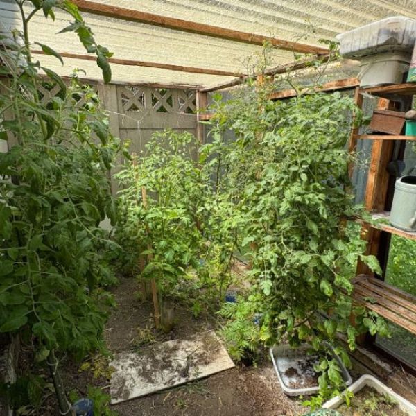 
GARAGE + JARDIN - Deville Les Rouen
