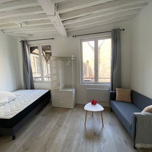 
Appartement Rouen secteur C.H.U Studio 16.37 m²
