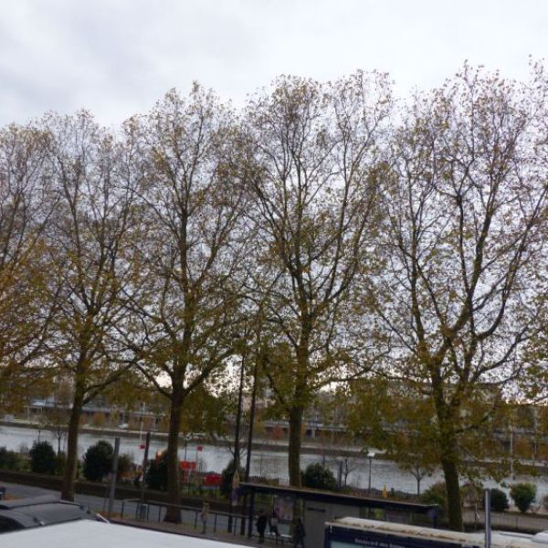 APPARTEMENT  T3 -57 m2 - QUAIS DE SEINE
