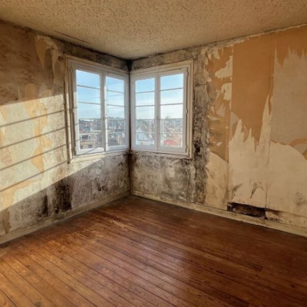 T3 - ROUEN JARDIN DES PLANTES