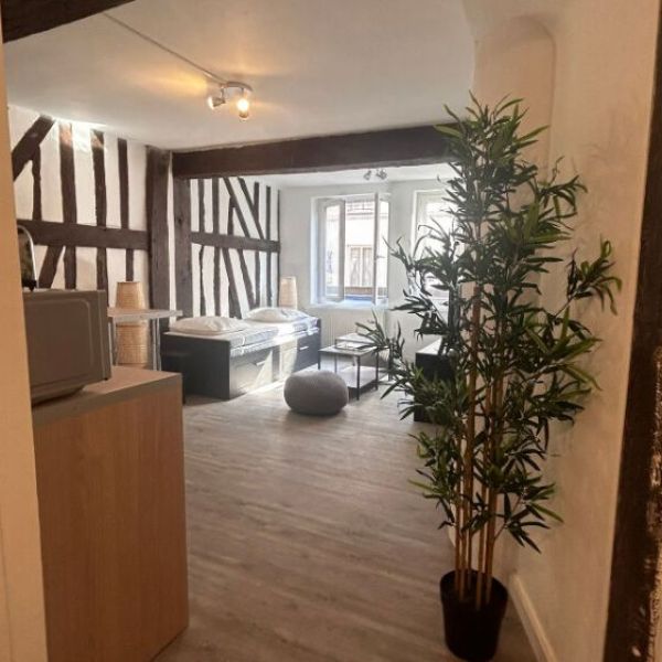 
APPARTEMENT T1 MEUBLÉ ROUEN CENTRE - REF 5529

