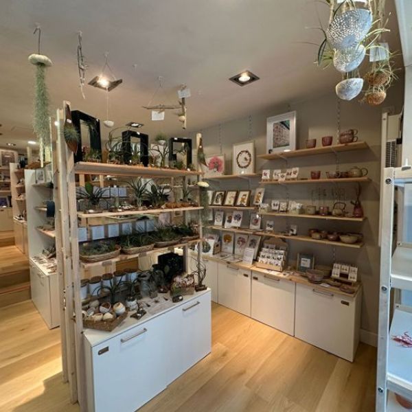 
Local commercial de 110 m² situé rue Beauvoisine.
