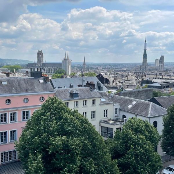 
APPARTEMENT DE TYPE 2 AVEC TERRASSE - ROUEN GARE - BEAUVOISINE
