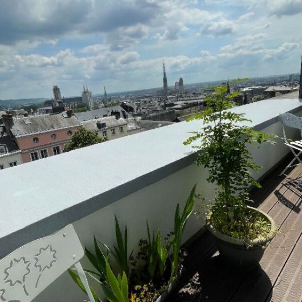 
APPARTEMENT DE TYPE 2 AVEC TERRASSE - ROUEN GARE - BEAUVOISINE

