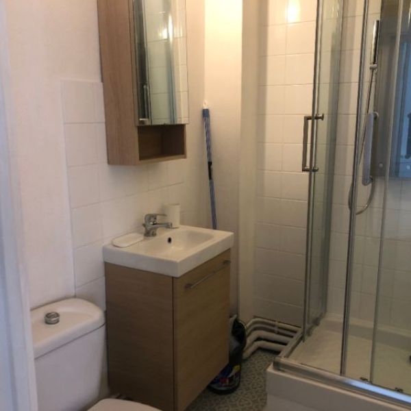 
APPARTEMENT T2 MEUBLÉ - ROUEN RIVE GAUCHE - REF 4050
