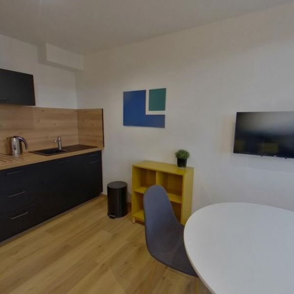 
APPARTEMENT T1 MEUBLÉ ROUEN CHU - REF 3728
