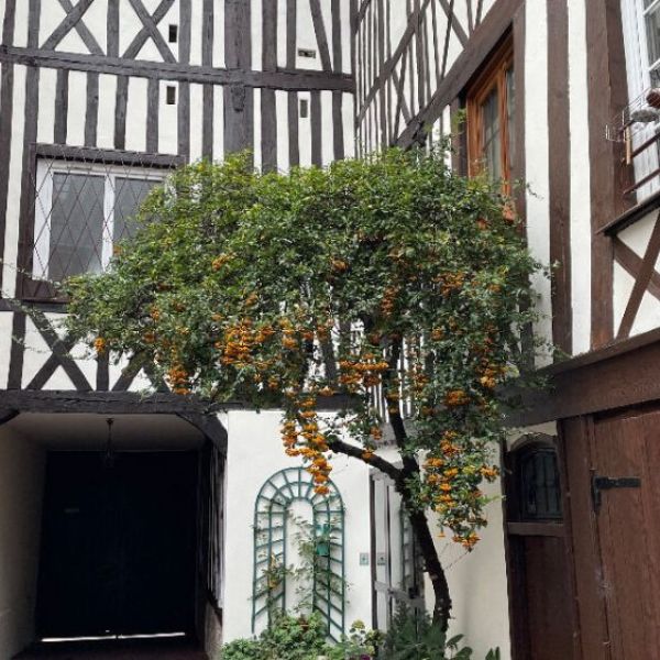 
APPARTEMENT T2 - MEUBLÉ - 29M² - MUSEE DES BEAUX ARTS / DONJON - REF 2200

